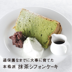 過保護なまでに大事に育てた 本格派 抹茶シフォンケーキ